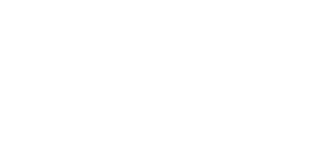 Datalogz Logo